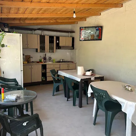 Vio 2 Independente 艾福雷诺德